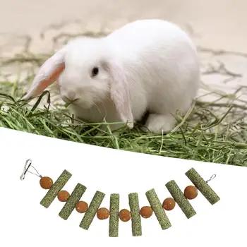 Tavşan oyuncak çok fonksiyonlu ısırık dayanıklı yaratıcı havuç çim topu dize Hamster oyuncak sincap için